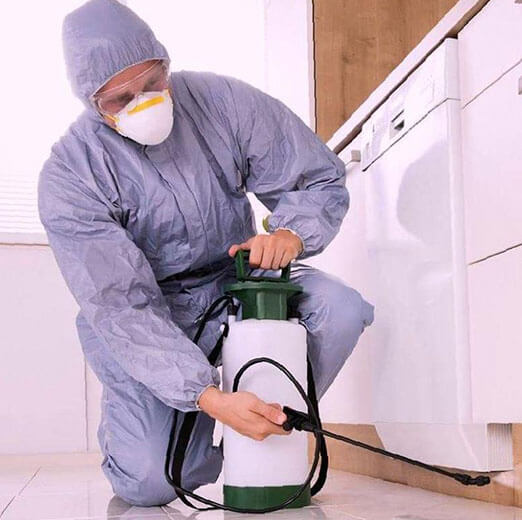 Профилактика коронавирусов